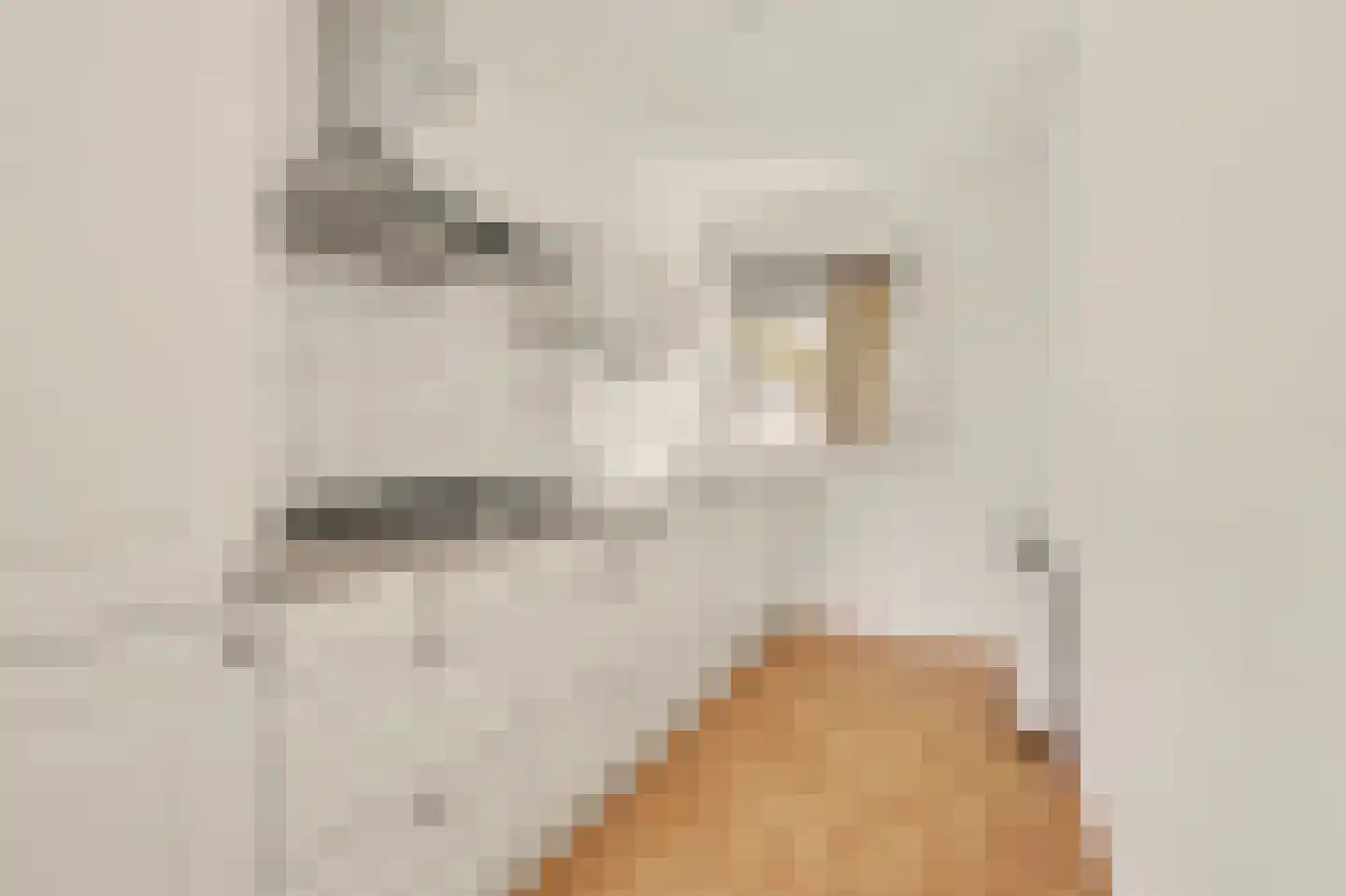 Afrikalaan 1 Drunen thumbnail 11