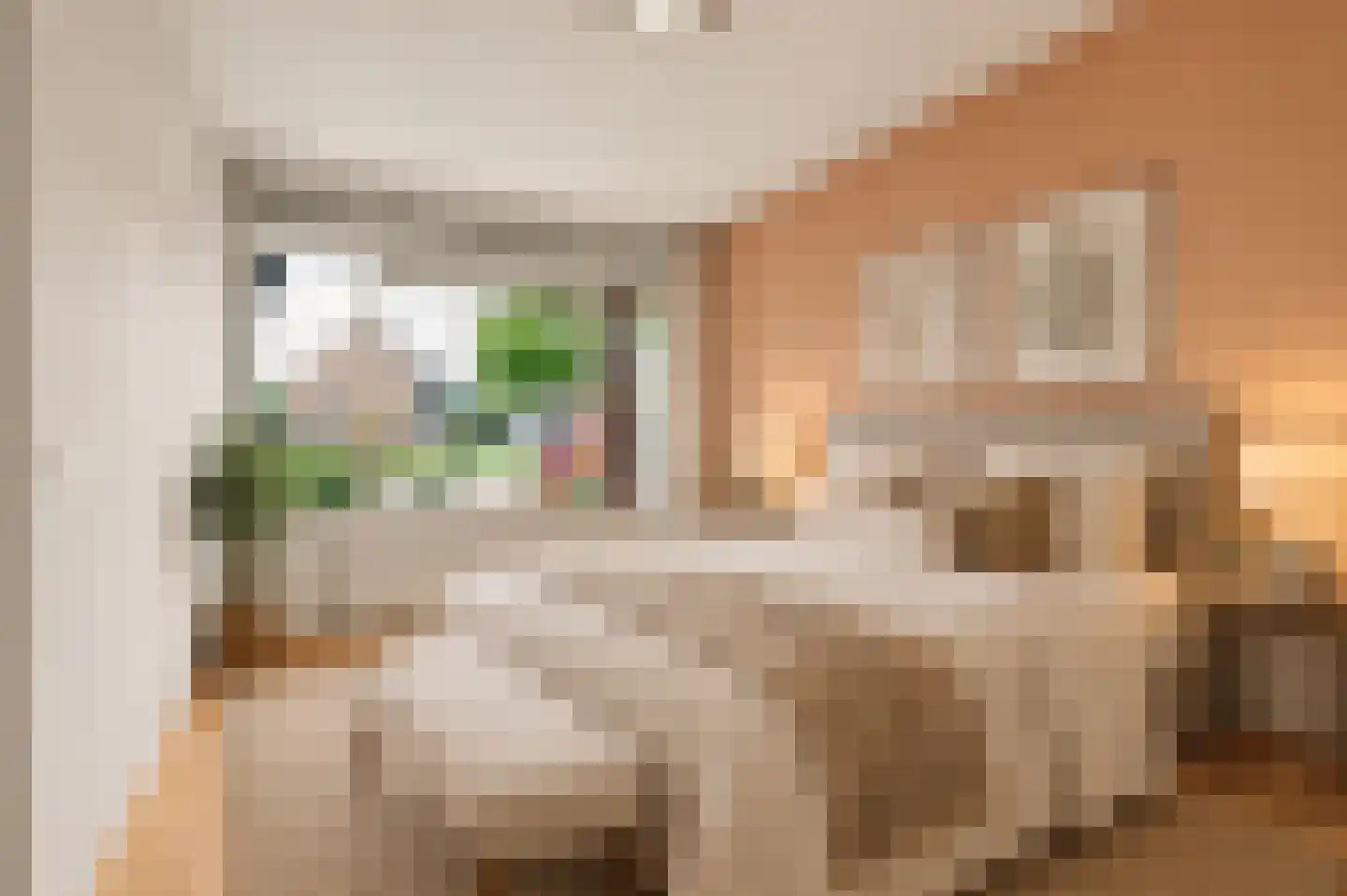 Afrikalaan 1 Drunen thumbnail 13