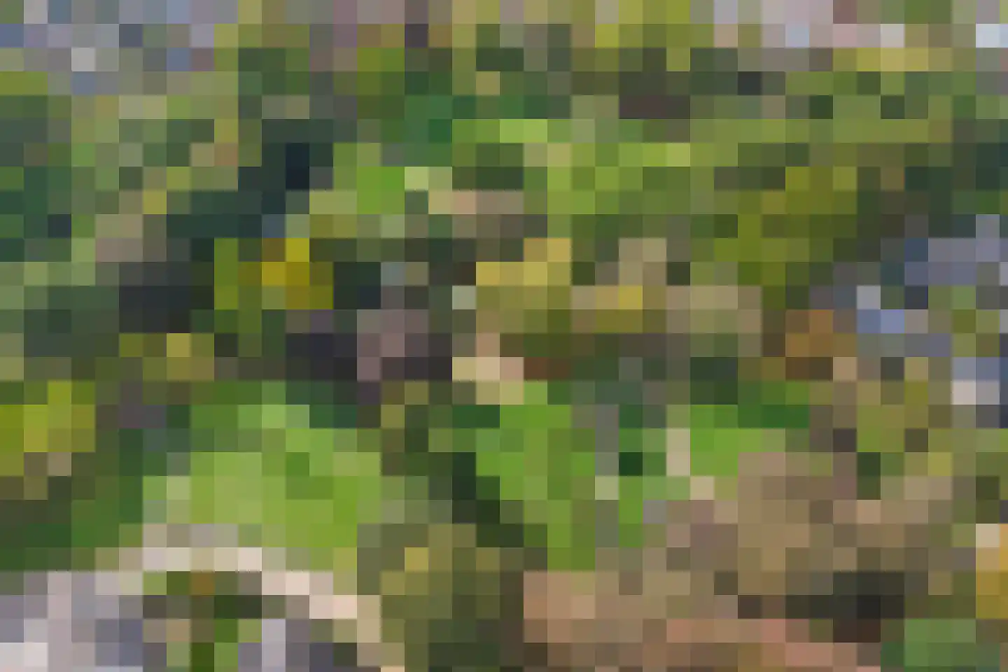 Afrikalaan 1 Drunen thumbnail 30