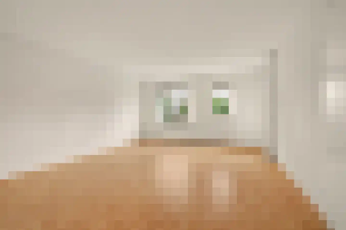 Afrikalaan 1 Drunen thumbnail 4