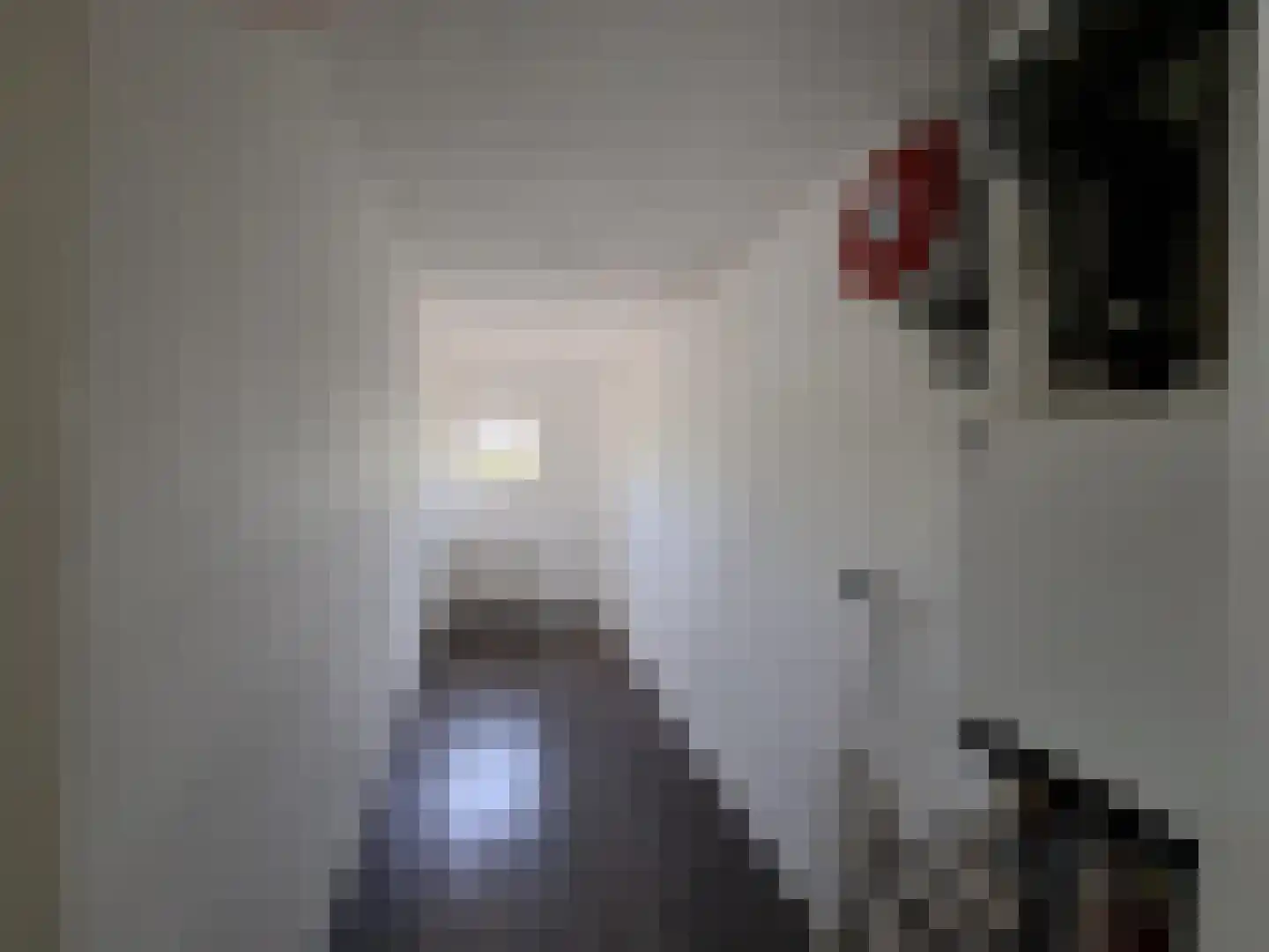 Afrikalaan 106 Delft thumbnail 9