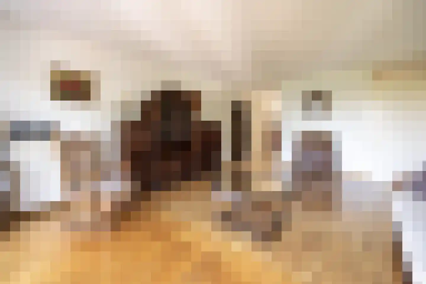 Afrikalaan 123 Alphen aan den Rijn thumbnail 6