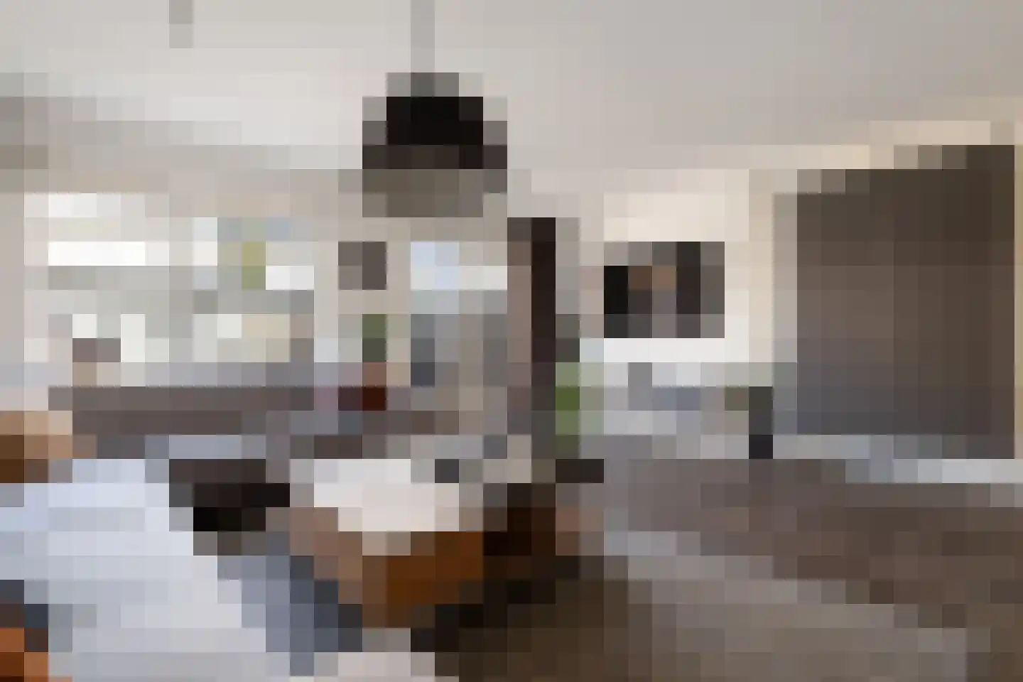 Afrikalaan 151 Alphen aan den Rijn thumbnail 14