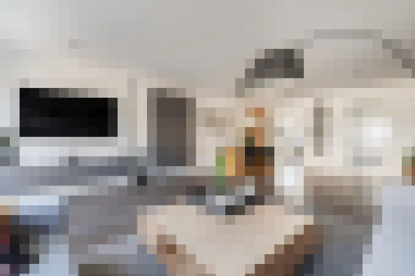 Afrikalaan 151 Alphen aan den Rijn thumbnail 16