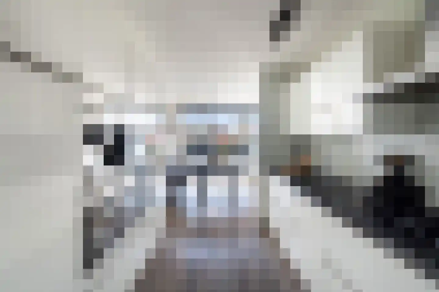 Afrikalaan 151 Alphen aan den Rijn thumbnail 28