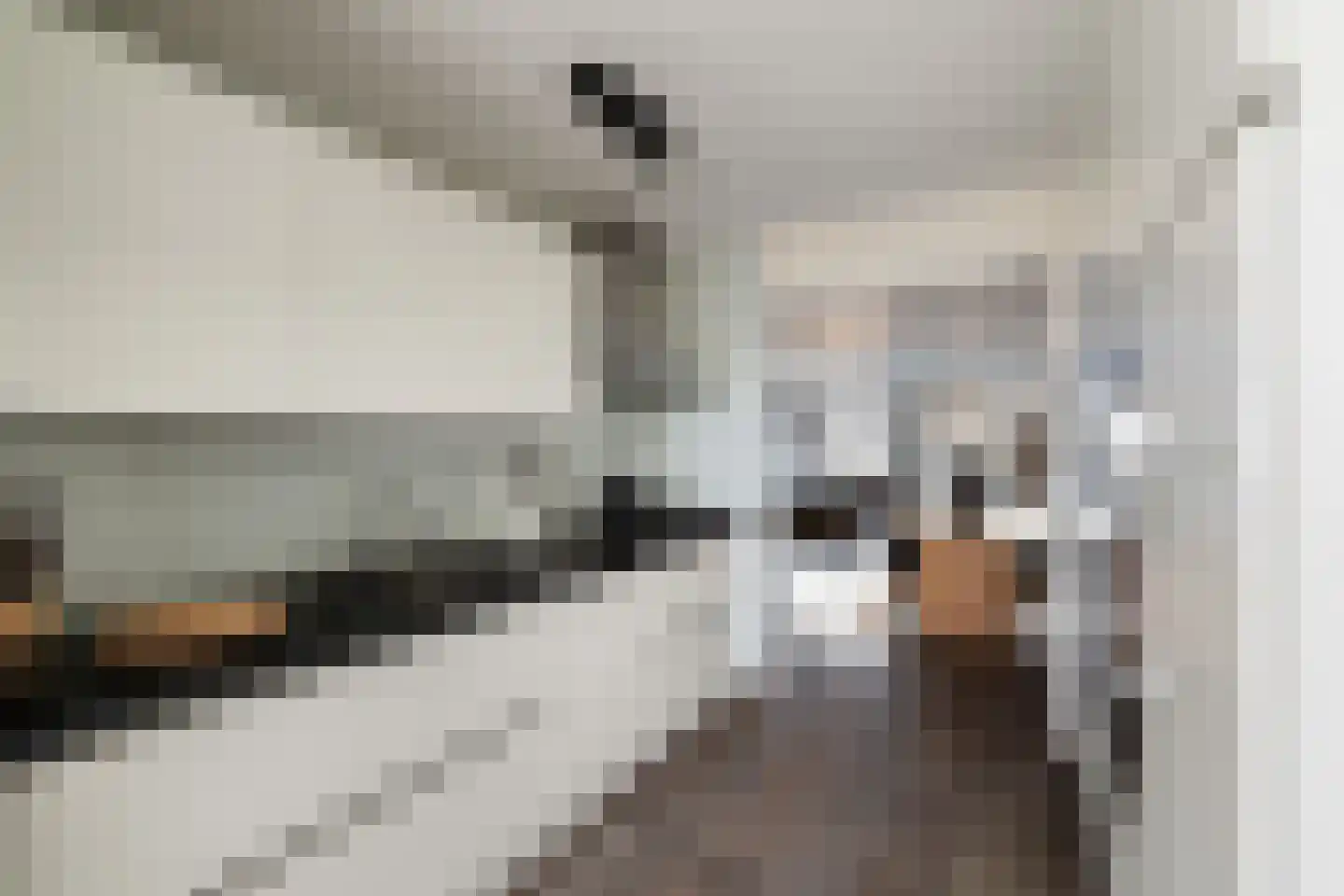 Afrikalaan 151 Alphen aan den Rijn thumbnail 31