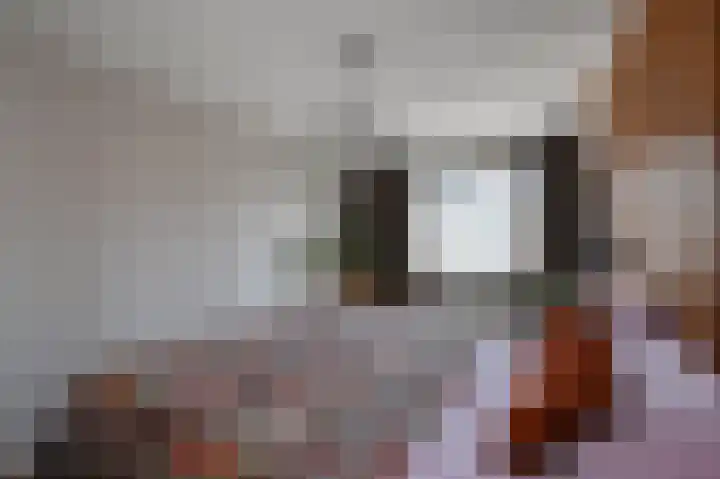 Afrikalaan 177 Alphen aan den Rijn thumbnail 15