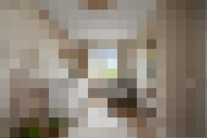 Afrikalaan 177 Alphen aan den Rijn thumbnail 18
