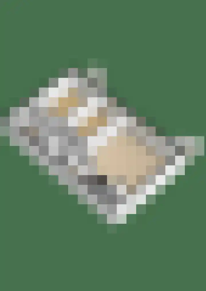 Afrikalaan 180 Delft thumbnail 16