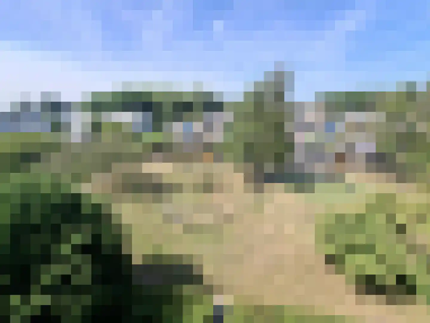 Afrikalaan 190 Delft thumbnail 13