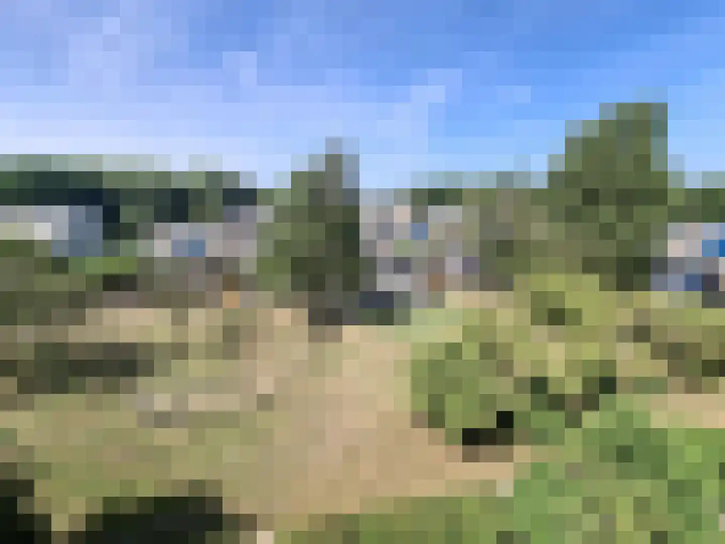 Afrikalaan 190 Delft thumbnail 14
