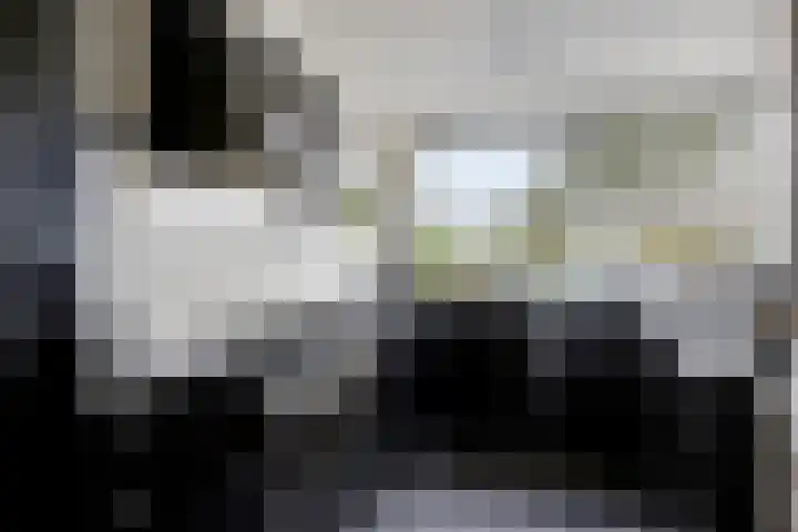 Afrikalaan 193 Alphen aan den Rijn thumbnail 12