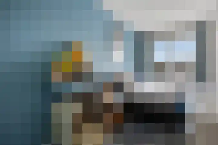 Afrikalaan 193 Alphen aan den Rijn thumbnail 18