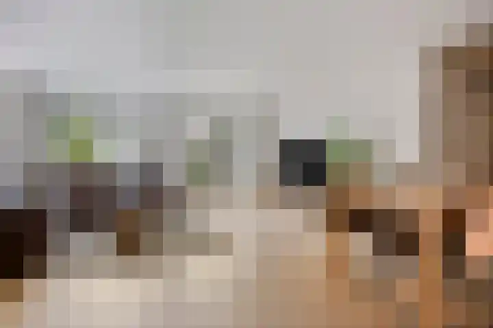 Afrikalaan 193 Alphen aan den Rijn foto 2