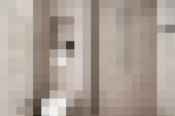 Afrikalaan 193 Alphen aan den Rijn thumbnail 20