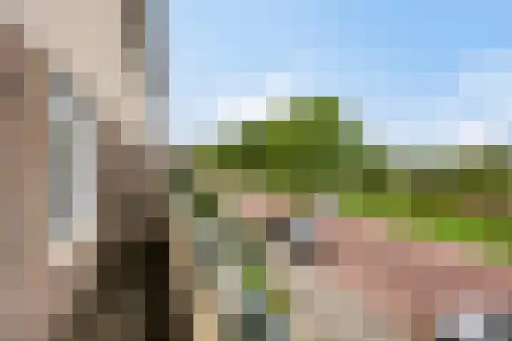 Afrikalaan 193 Alphen aan den Rijn thumbnail 21