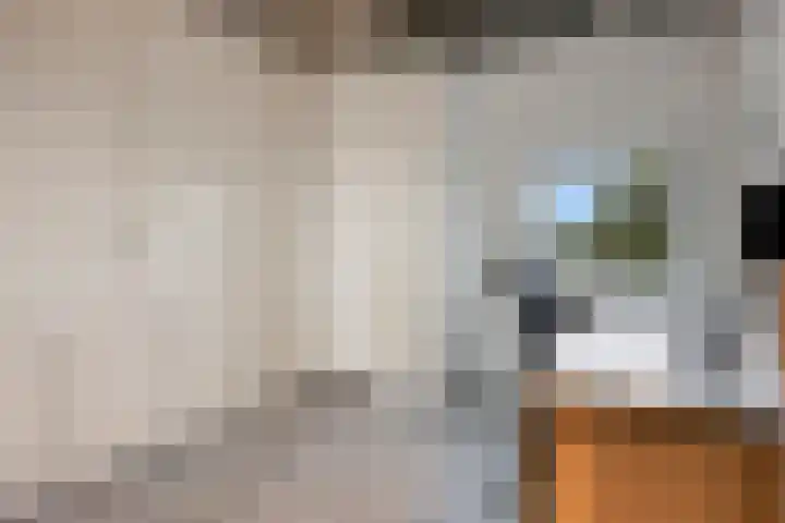 Afrikalaan 193 Alphen aan den Rijn thumbnail 24