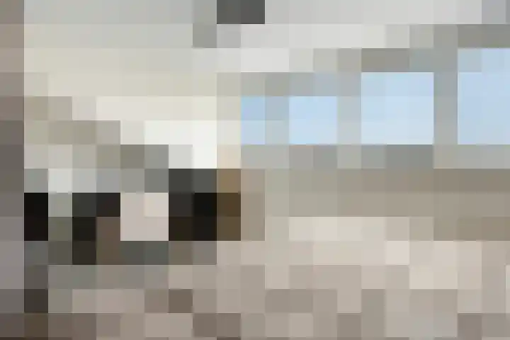 Afrikalaan 193 Alphen aan den Rijn thumbnail 26
