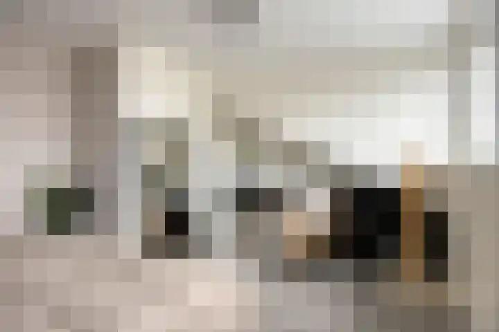 Afrikalaan 193 Alphen aan den Rijn thumbnail 28