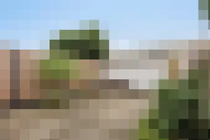 Afrikalaan 193 Alphen aan den Rijn thumbnail 29