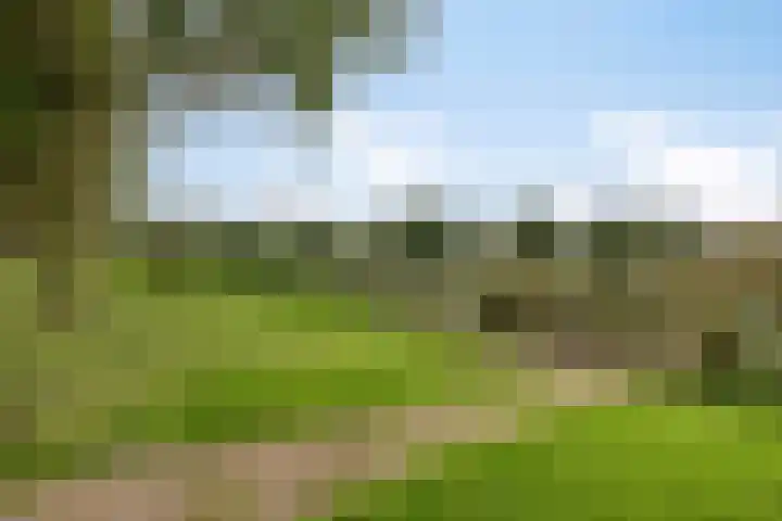 Afrikalaan 193 Alphen aan den Rijn thumbnail 32