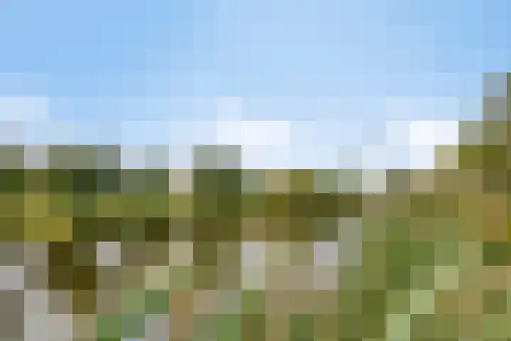 Afrikalaan 193 Alphen aan den Rijn thumbnail 33