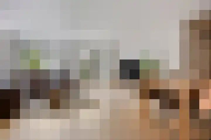 Afrikalaan 193 Alphen aan den Rijn thumbnail 7