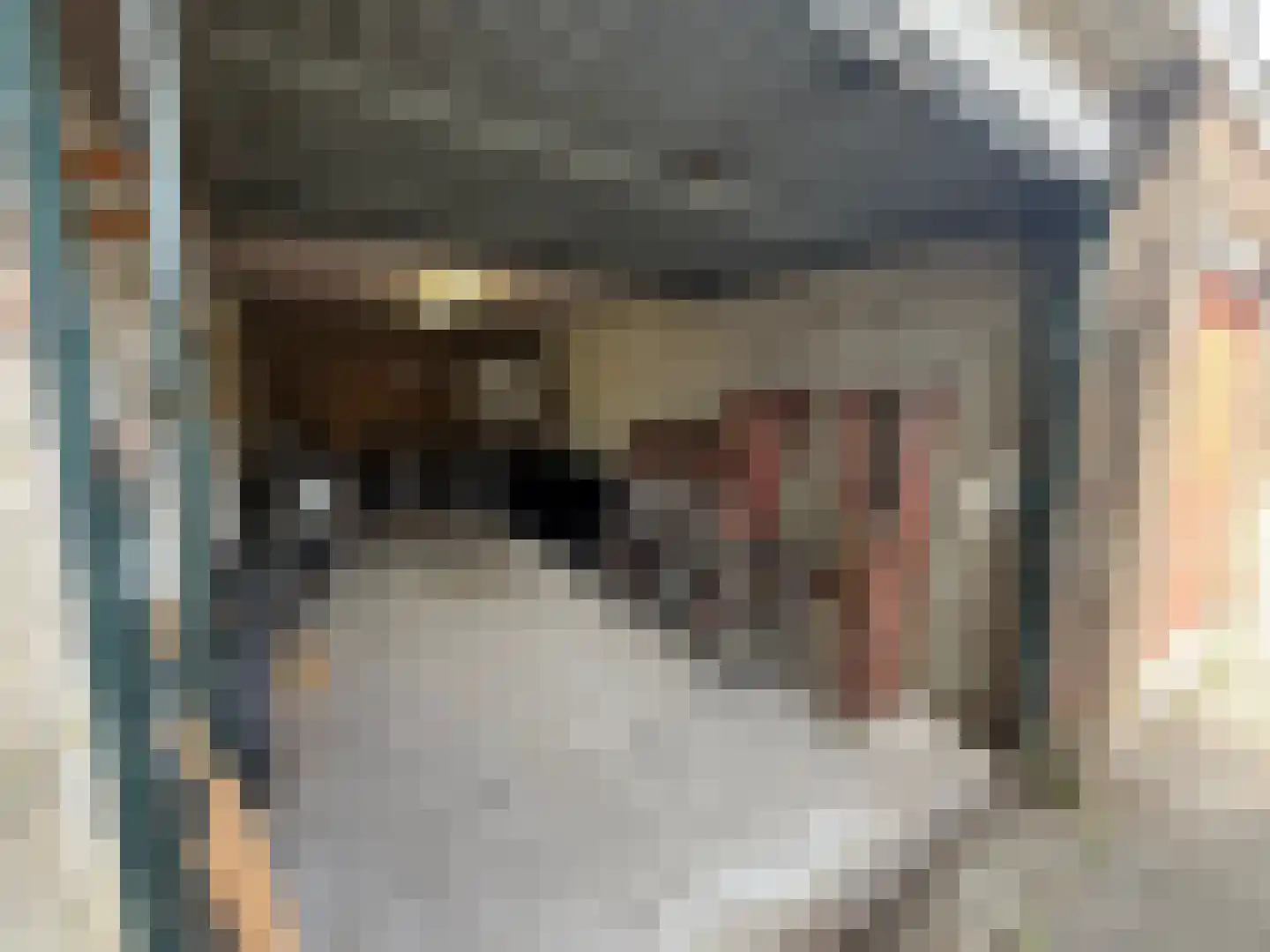 Afrikalaan 209 Utrecht thumbnail 6