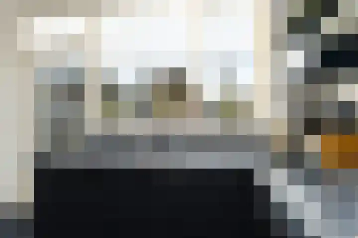 Afrikalaan 21 Son en Breugel thumbnail 10