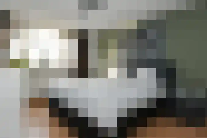 Afrikalaan 21 Son en Breugel thumbnail 12