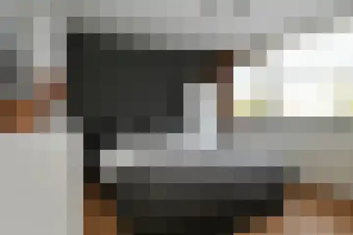 Afrikalaan 21 Son en Breugel thumbnail 13