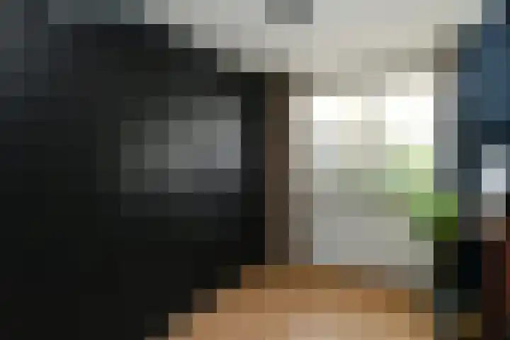 Afrikalaan 21 Son en Breugel thumbnail 14