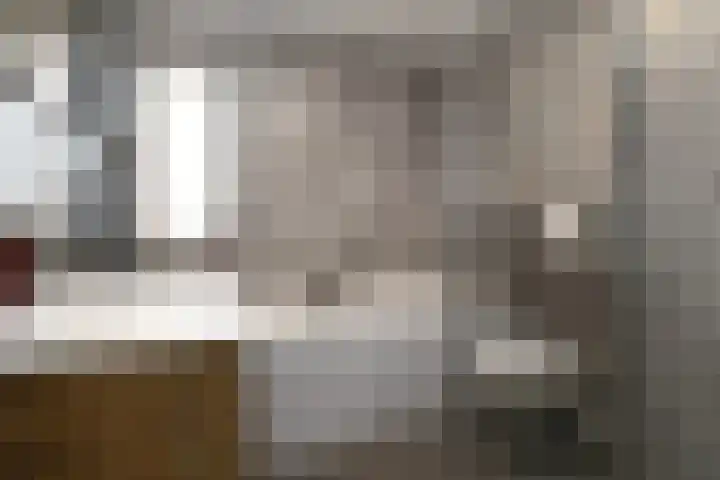 Afrikalaan 21 Son en Breugel thumbnail 15
