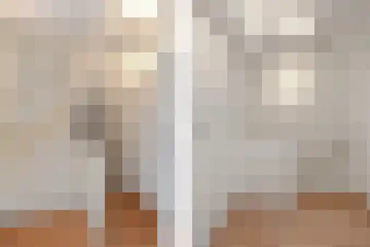 Afrikalaan 21 Son en Breugel thumbnail 16