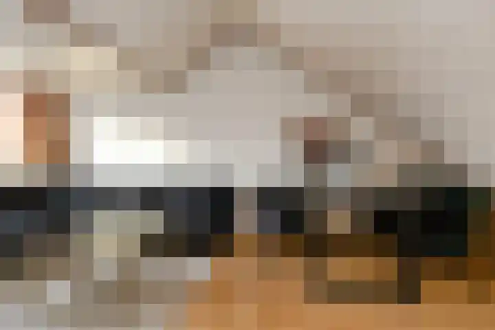 Afrikalaan 21 Son en Breugel thumbnail 17