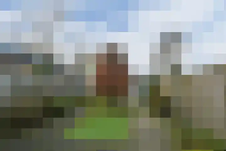 Afrikalaan 21 Son en Breugel thumbnail 19
