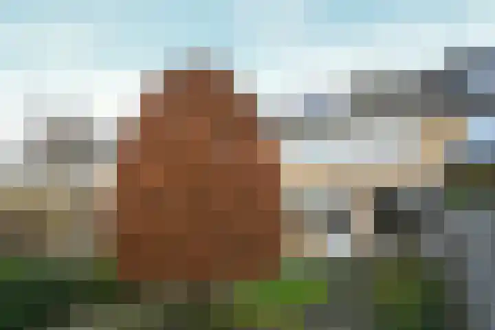 Afrikalaan 21 Son en Breugel thumbnail 4