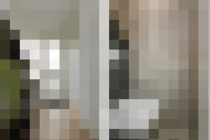 Afrikalaan 21 Son en Breugel thumbnail 6