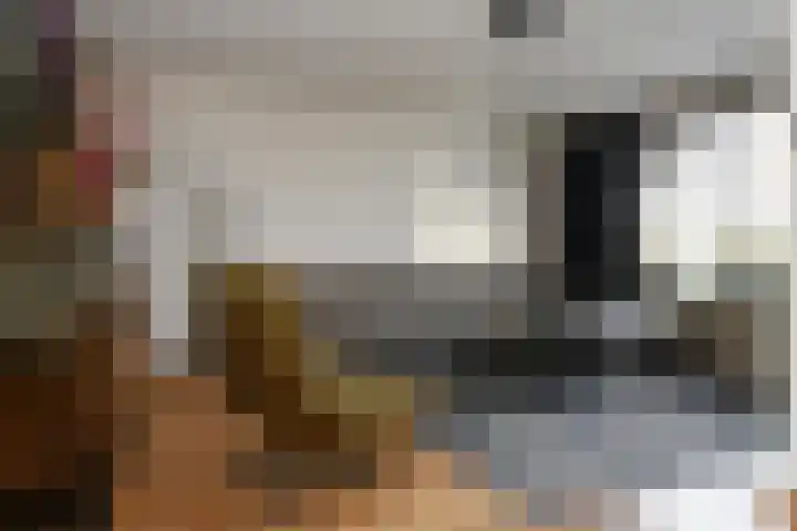 Afrikalaan 21 Son en Breugel thumbnail 7
