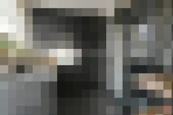 Afrikalaan 21 Son en Breugel thumbnail 9