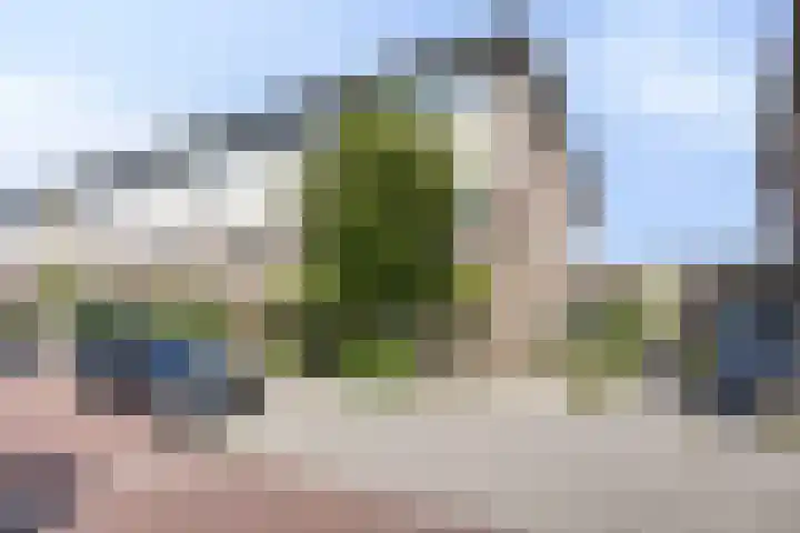 Afrikalaan 217 in Alphen aan den Rijn