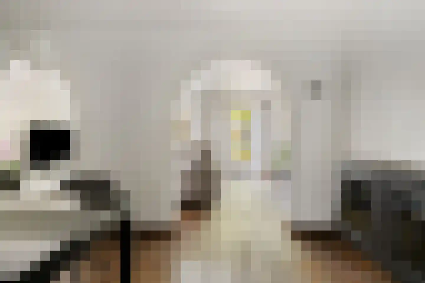 Afrikalaan 3 Son en Breugel thumbnail 10