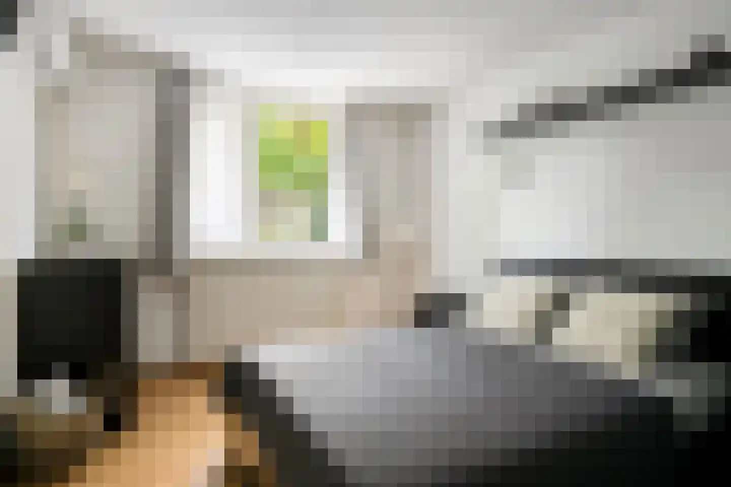 Afrikalaan 3 Son en Breugel thumbnail 13