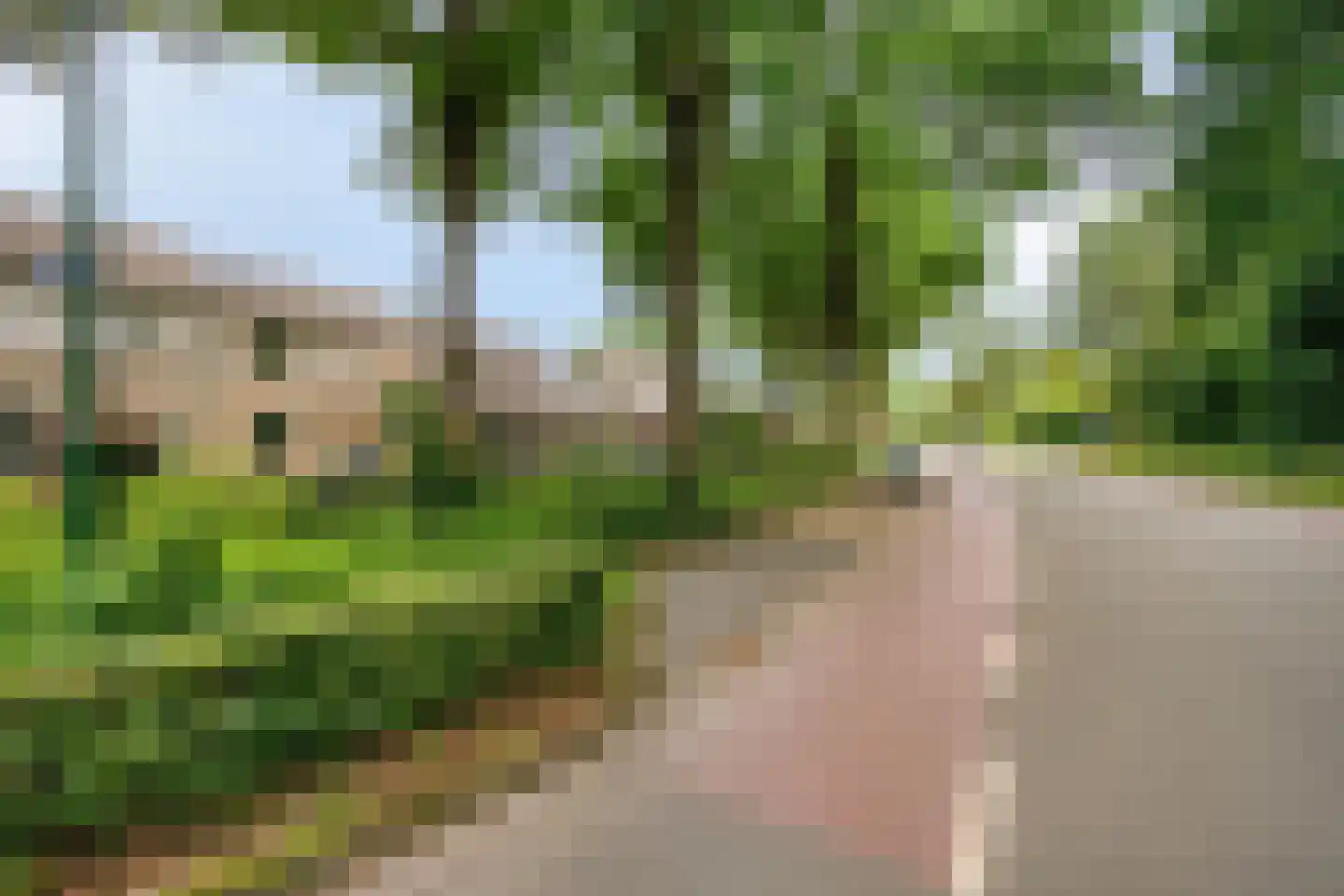 Afrikalaan 3 Son en Breugel thumbnail 32