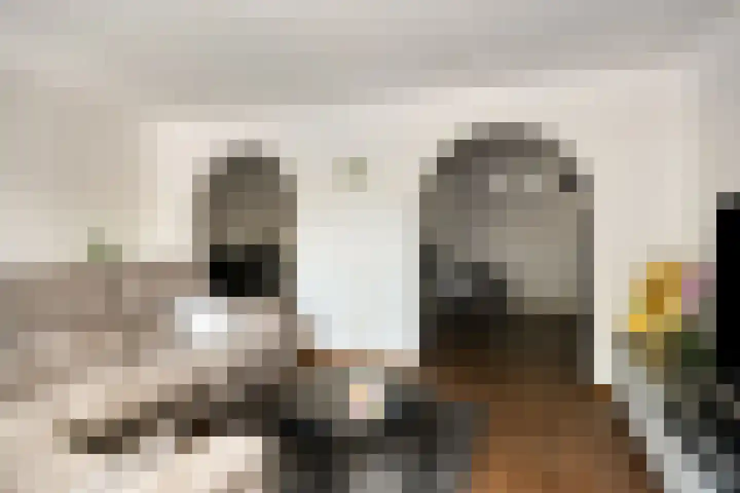 Afrikalaan 3 Son en Breugel thumbnail 7
