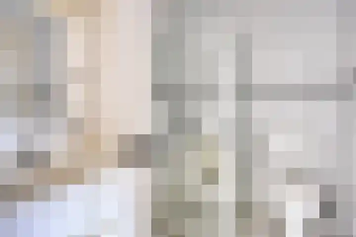 Afrikalaan 37 Drunen thumbnail 13