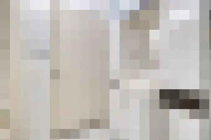 Afrikalaan 37 Drunen thumbnail 14