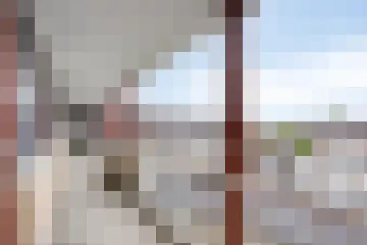 Afrikalaan 37 Drunen thumbnail 19