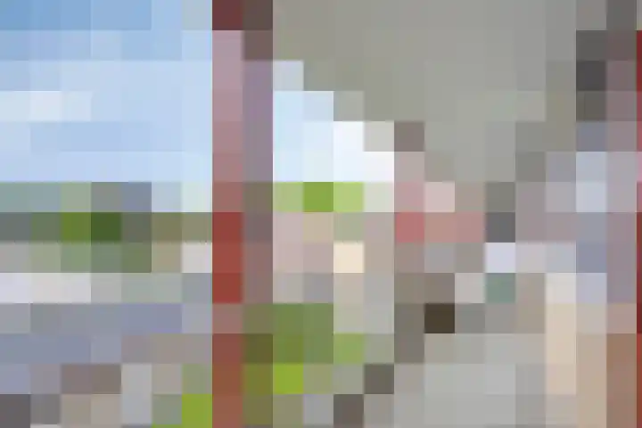 Afrikalaan 37 Drunen thumbnail 20