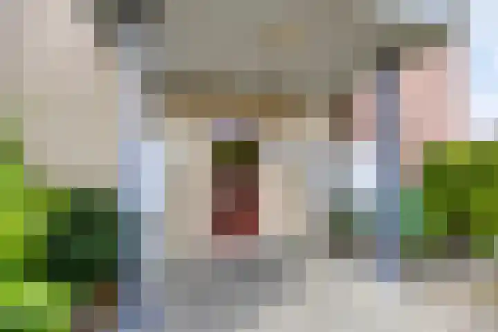 Afrikalaan 37 Drunen thumbnail 22